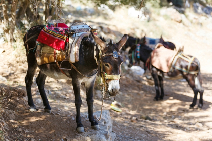 Rethymno Villages Adventure 4