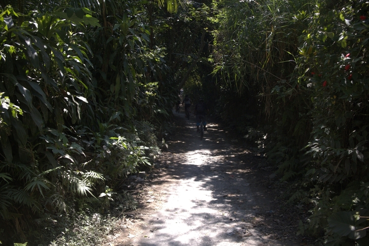 Golong Countryside Bike Ride to Ranget Spring and Lingsar Temple