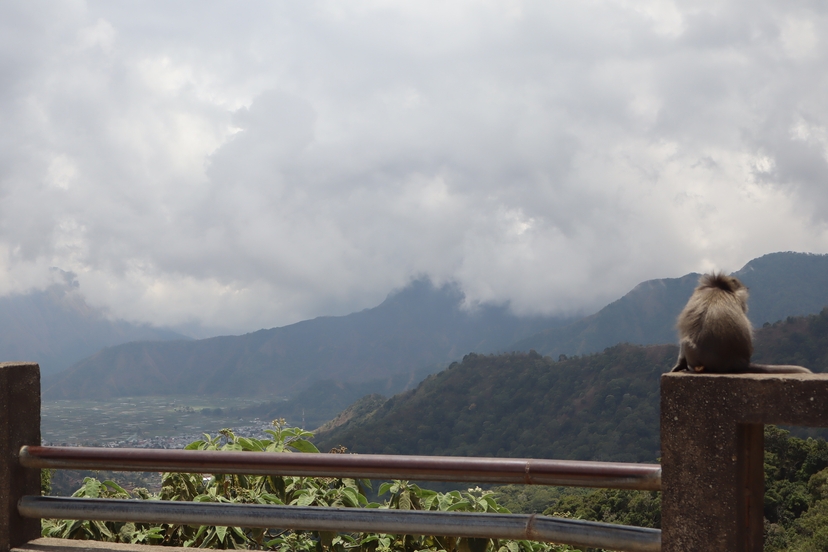 Lombok 5 Days Nature and Culture Tour 3