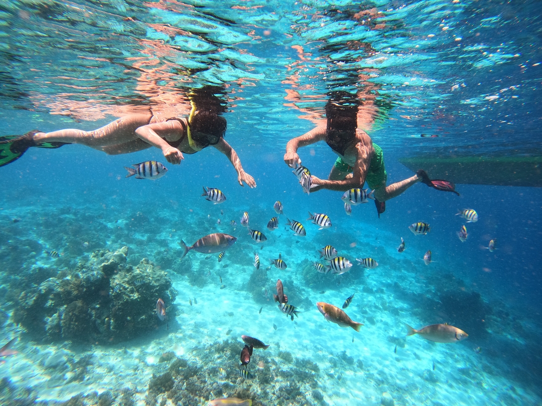 Lombok 5 Days Nature and Culture Tour 6