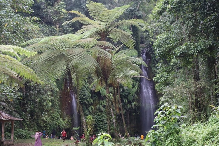 Benang Kelambu Waterfall and Mandalika South Beaches Day Trip