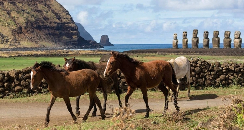 7 Days Discover the Mystical Easter Island (no flights included) 3