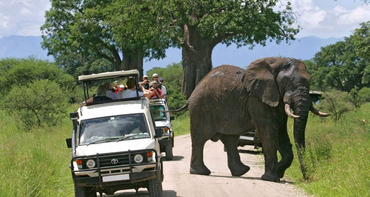 4-Day Midrange Amboseli, Tsavo West, Tsavo East Safari