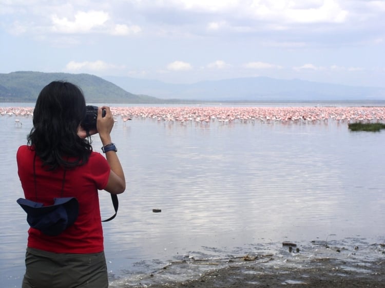 4 Days Kenya’s Birds Watching and Mara Wildebeest Migration Safari Adventure