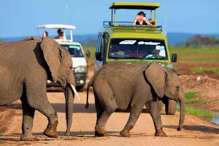 3 Days Maasai Mara Sopa Luxury Lodge Safari on a 4x4 Land Cruiser Jeep