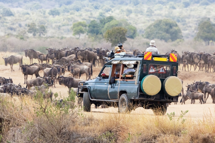 11 Days East African Classic Safari: A Journey Through the Wildebeest Migration