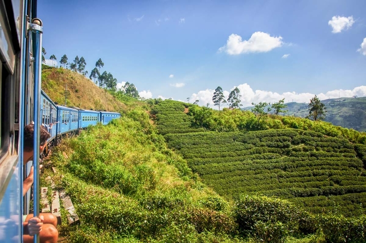 Sri Lanka Halal Tour