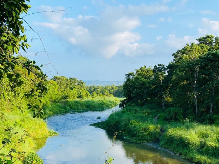 Chitwan National Park Tour