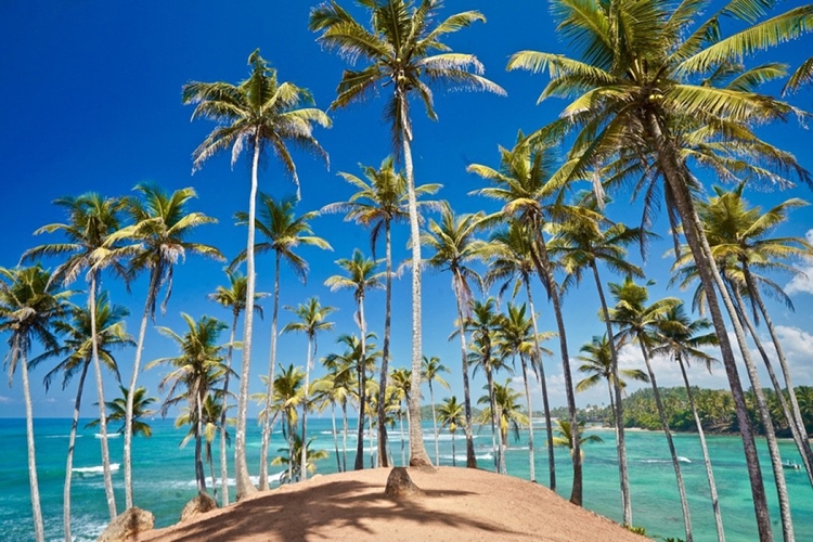 Beach Explore Sri Lanka