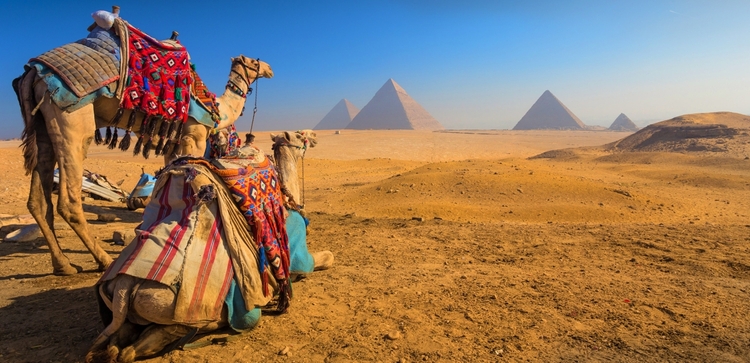 Pyramids & Beaches 7 Day  Tour