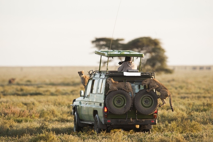 6 Days Amazing Kenya and Tanzania combined Luxury Safari