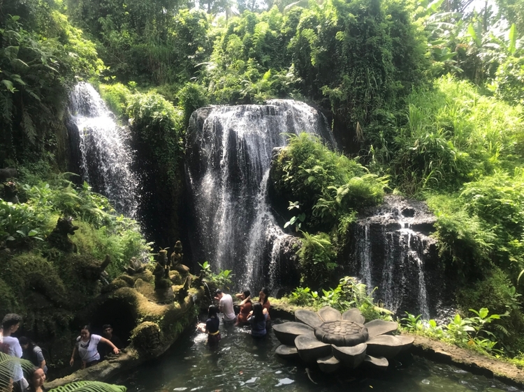 Purification Holy Bath at Beji Gria Waterfall | Bali