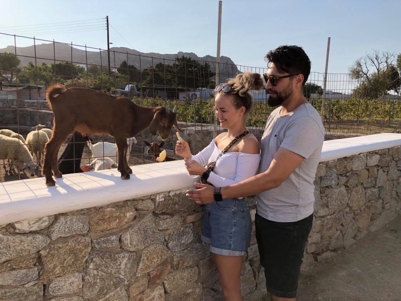 Panoramic Island Tour 2