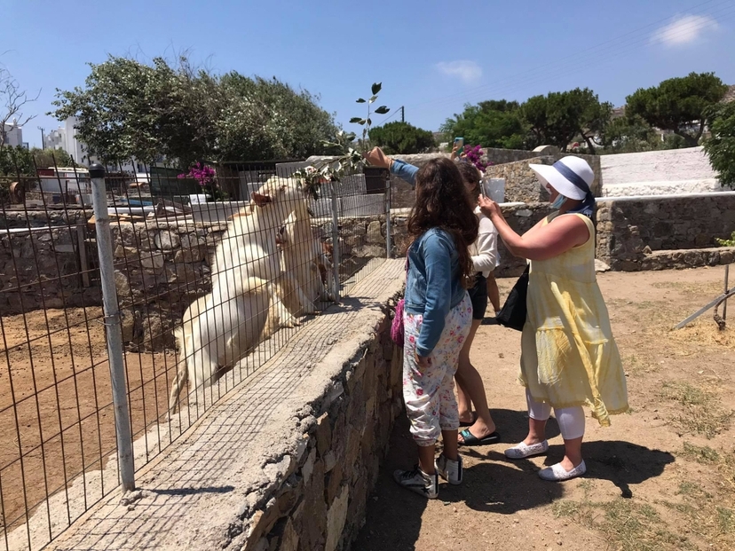 Ancient Delos & Cooking Class 2