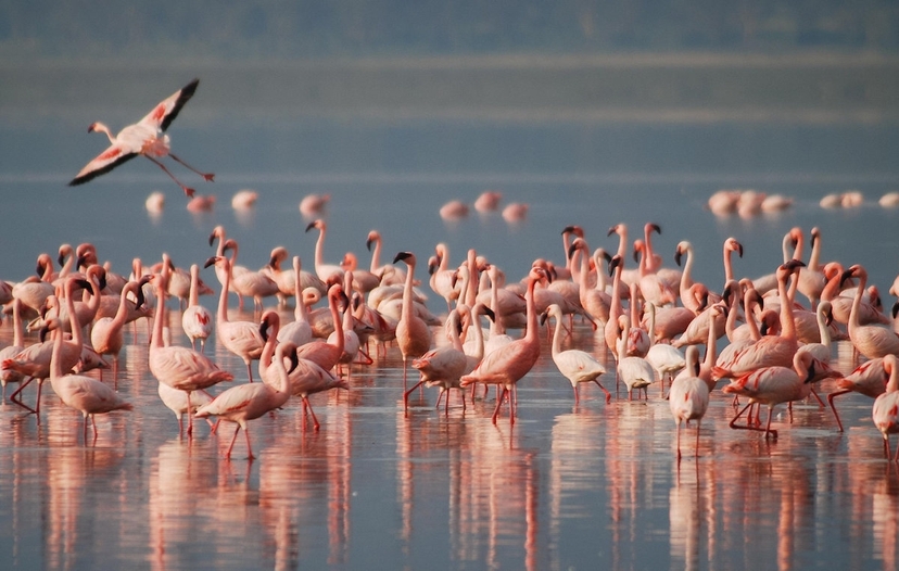 Experience Kenya from North to South 4