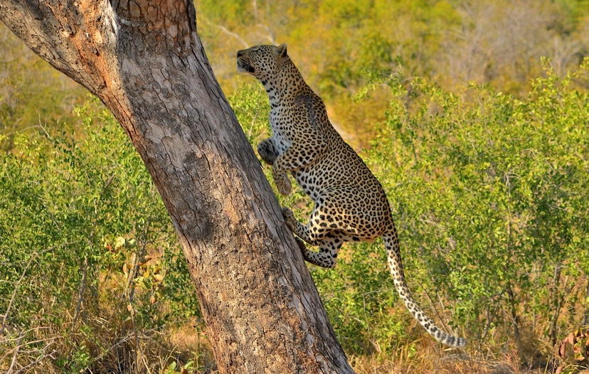 Tanzania’s breathtaking wilderness in 6-days 2