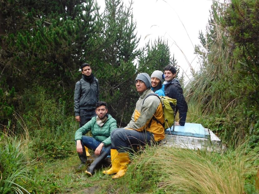 Winds of Paramo 3