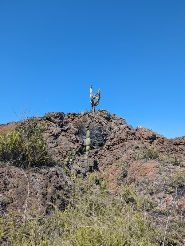 Galapagos 5 Days 3