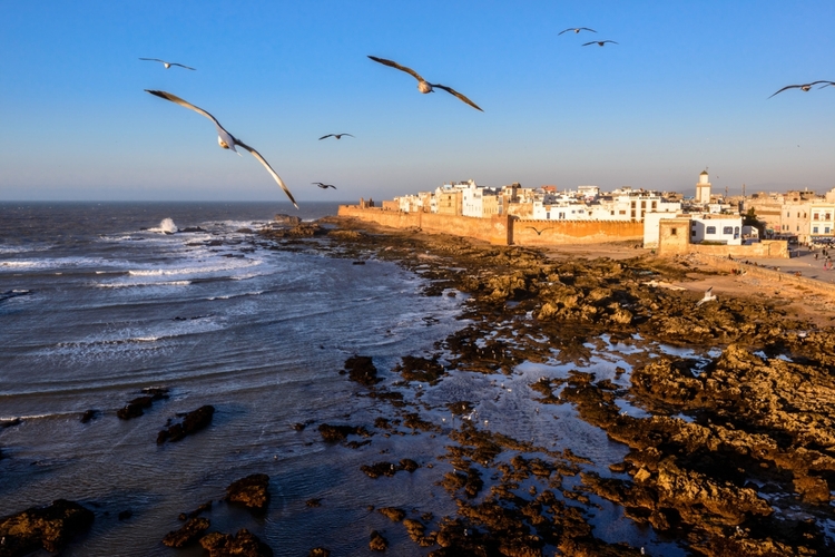 From Marrakech To Essaouira Mogador Full Day Trip | Share Group Tour