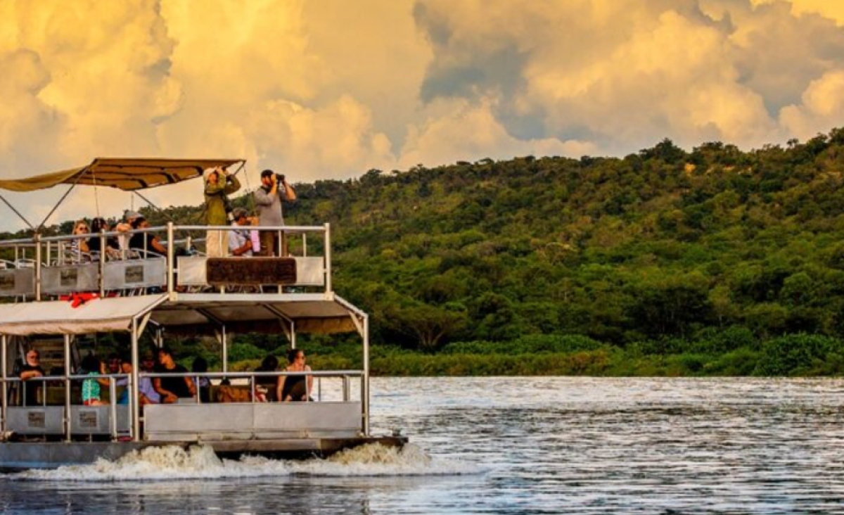 7 Days Uganda Gorilla Trek and Wildlife Safari 1