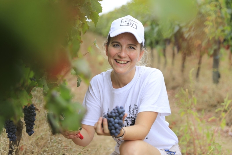 Taranto & Manduria Wine Experience from Lecce