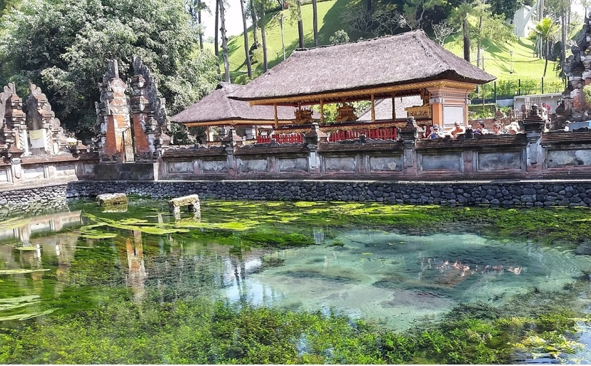 Highlight Cultural Ubud and Kintamani Tour  4