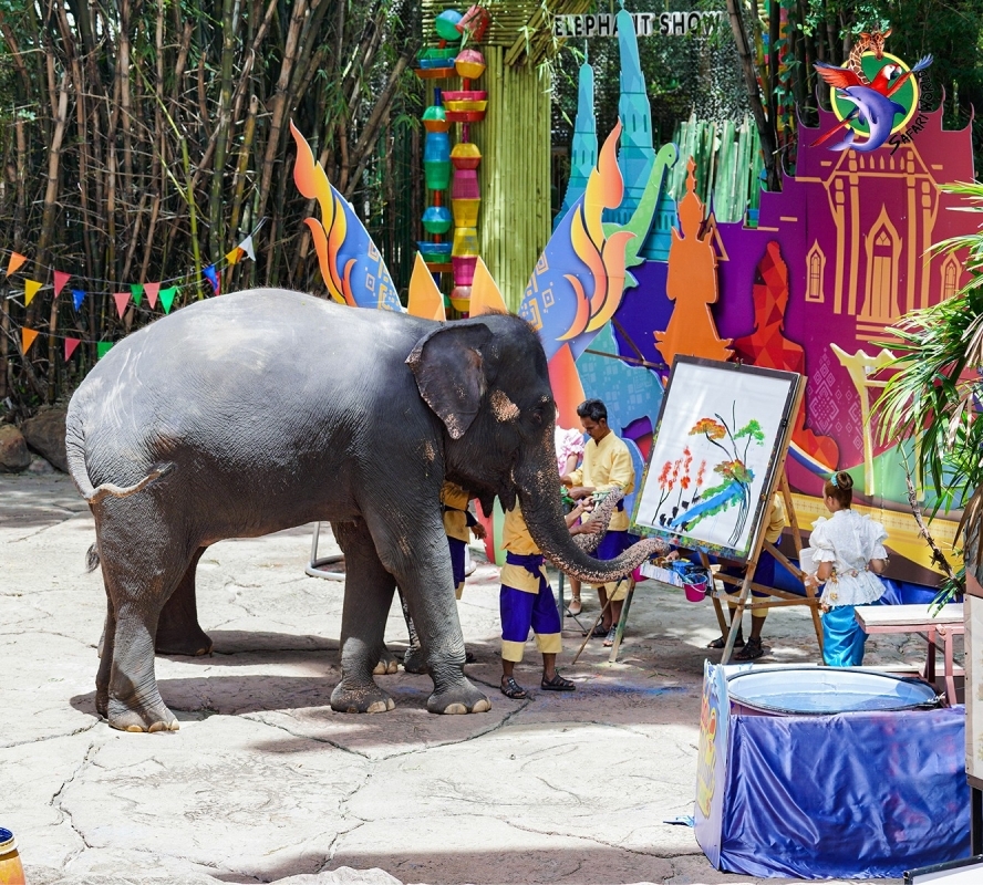 Safari World + Marine Park with Lunch 1