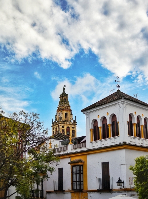 CORDOBA DAY TRIP FROM SEVILLE 2