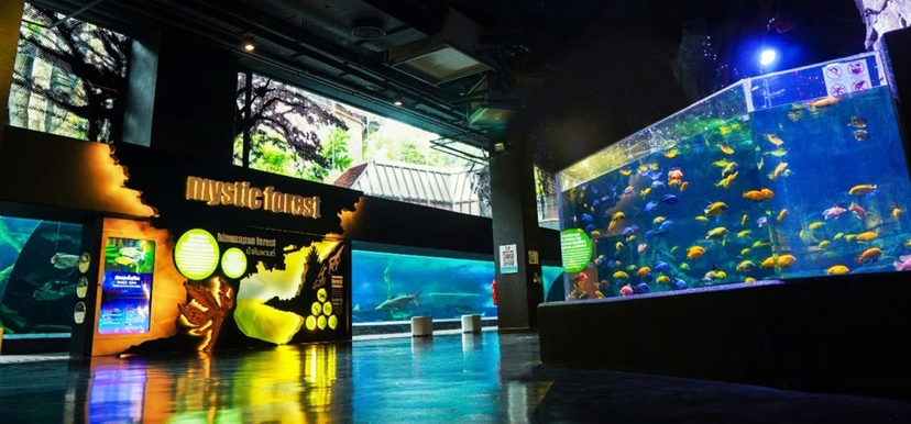 Aquaria Phuket Ticket 2