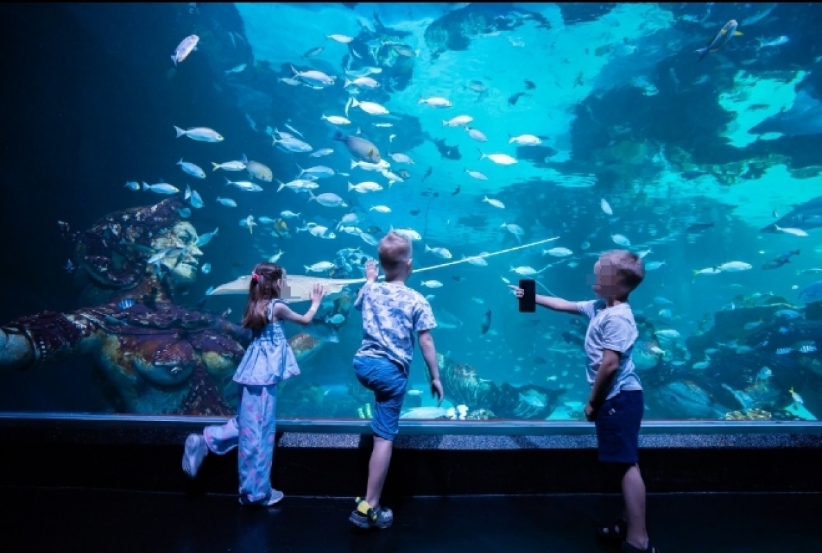 Aquaria Phuket and 4D Trickeye Museum Ticket 1
