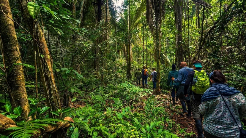 7 Days -  360° Amazon Experience  in Cuyabeno 4