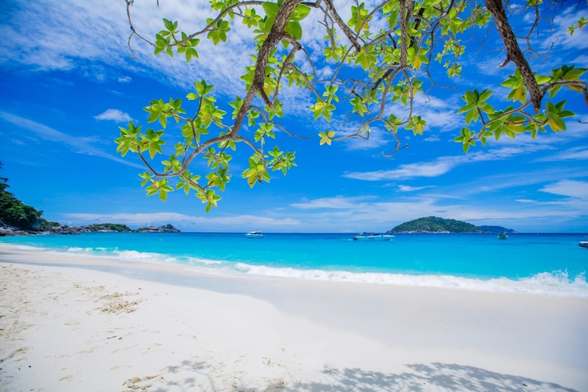 Similan Island Tour Day trip By Speed Boat 4