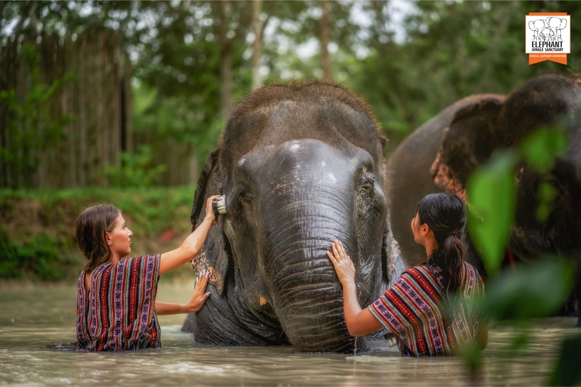 Elephant Jungle Sanctuary Phuket - Half day visit 2