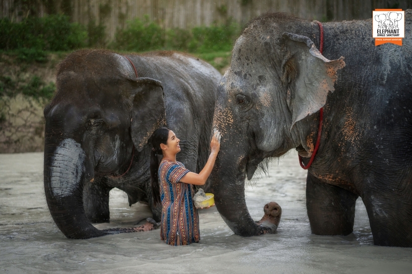 Elephant Jungle Sanctuary Phuket - Half day visit 4