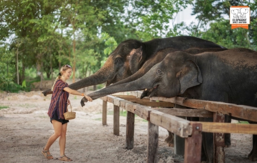 Elephant Jungle Sanctuary Chiang Mai - Half day tour 2