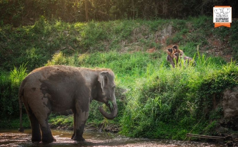 Elephant Jungle Sanctuary Chiang Mai -  Watch Me Tour 2