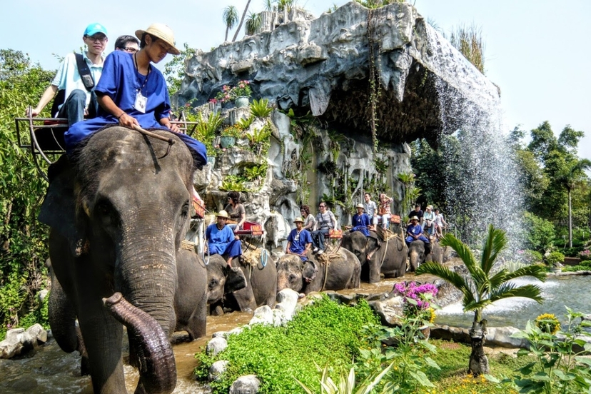 Samphran Elephant Ground & Zoo Package: Show+Riding with Lunch ( No transfer ) 2
