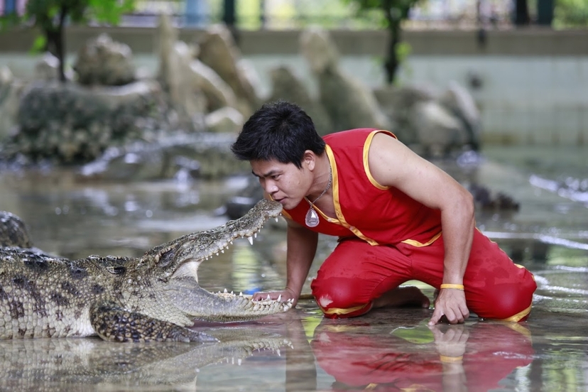 Samphran Elephant Ground & Zoo Package: Show+Riding with Lunch ( No transfer ) 4