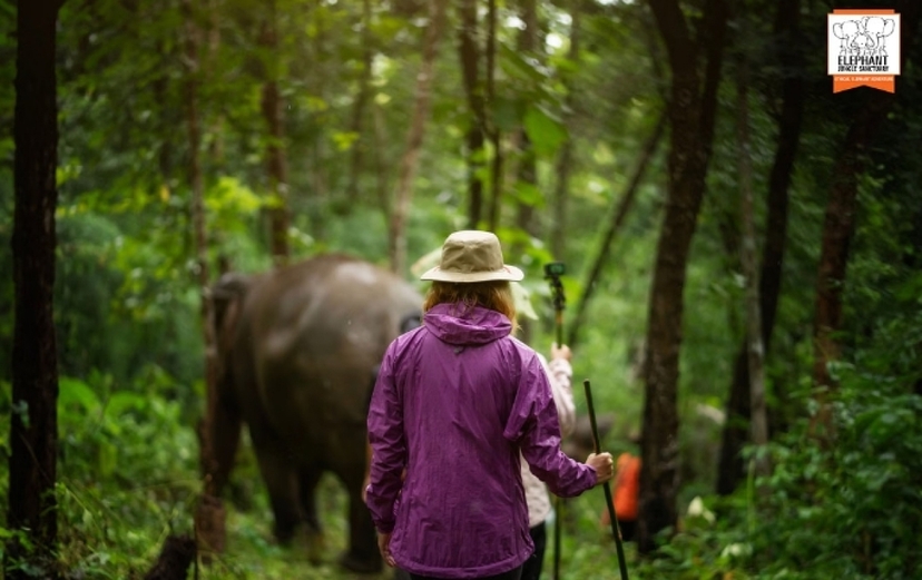 Elephant Jungle Sanctuary Chiang Mai - Walk With Elephant 2
