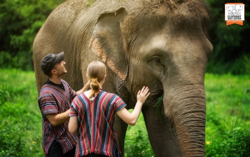 Elephant Jungle Sanctuary Chiang Mai - Overnight Visit (2D1N) 3