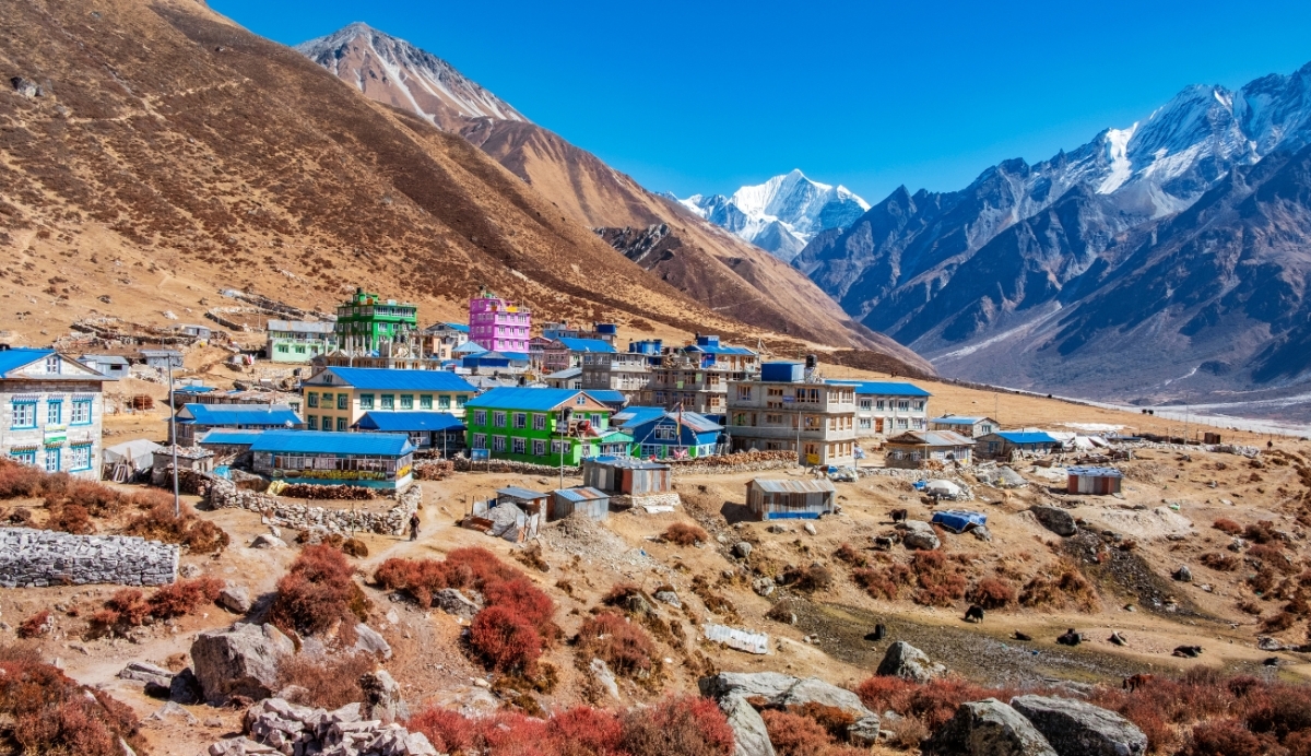 Guided Hike to Langtang Village: Stunning Views & Nature 1