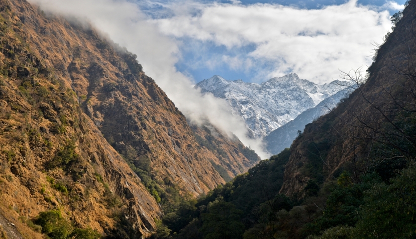 Guided Hike to Langtang Village: Stunning Views & Nature 3