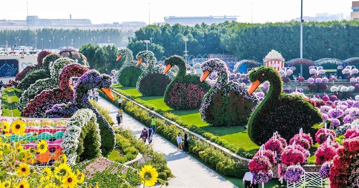 Dubai : Miracle Garden, The World's Largest Flower Paradise 1