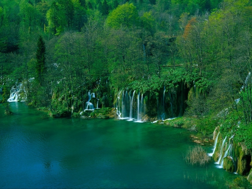 From Split or Trogir: Plitvice Lakes Trip with Entry Ticket 2