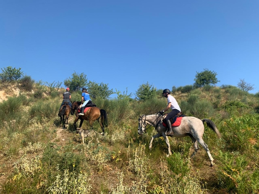 Horse Riding Bundle in Gjirokaster 2