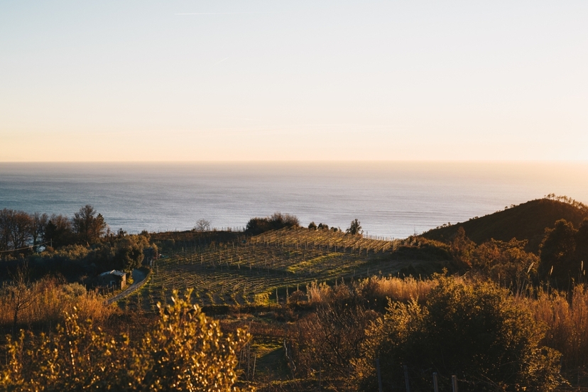 E-Bike tour: From Monterosso to Soviore sanctuary 3