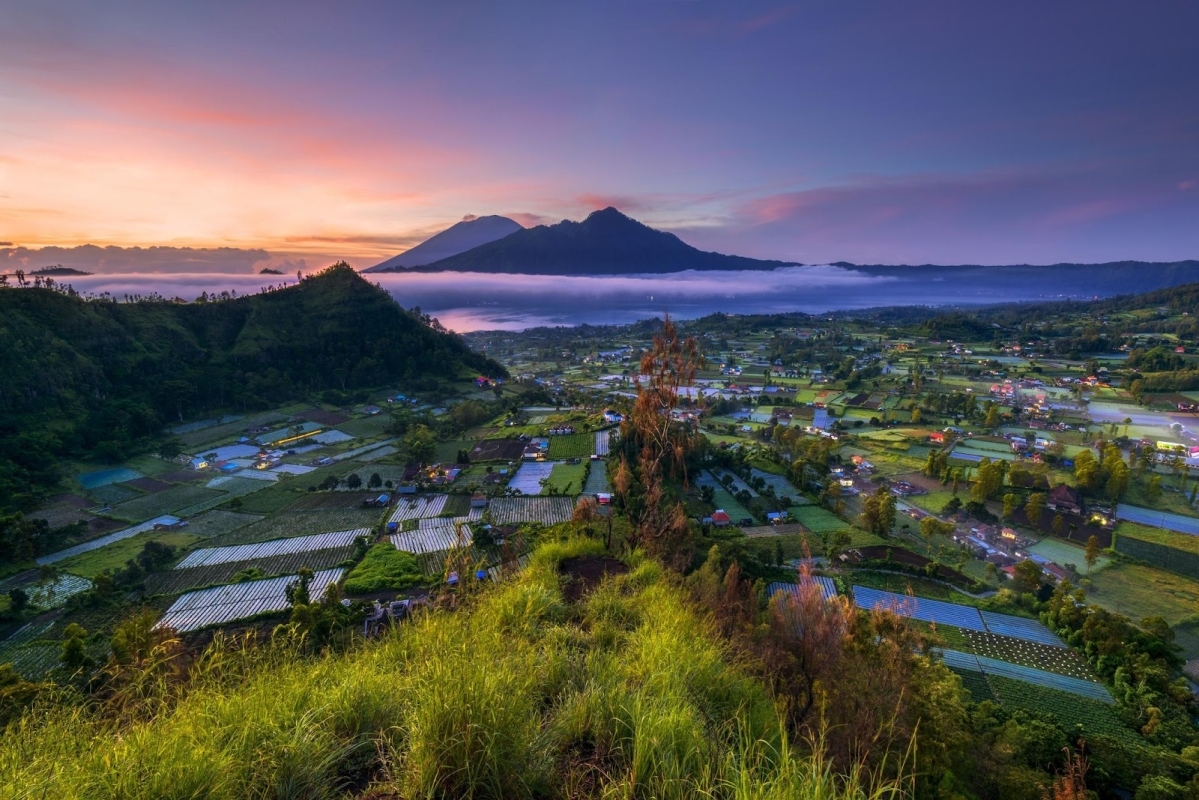 Bali Transport and Tour