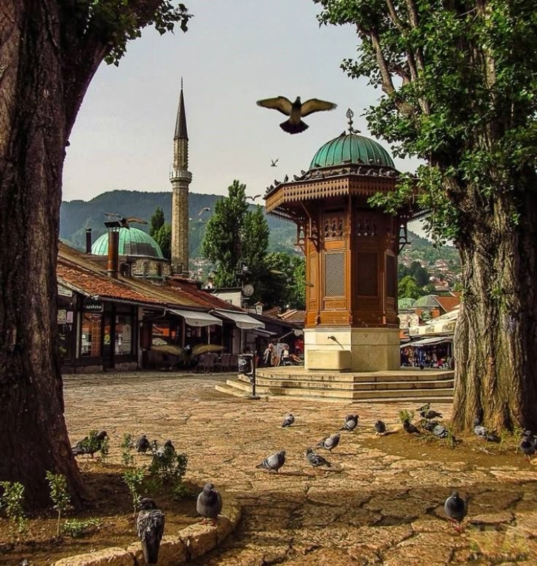 Discover the Balkans: A 9-Day, 6-Country Adventure (From Albania- Bulgaria) 3