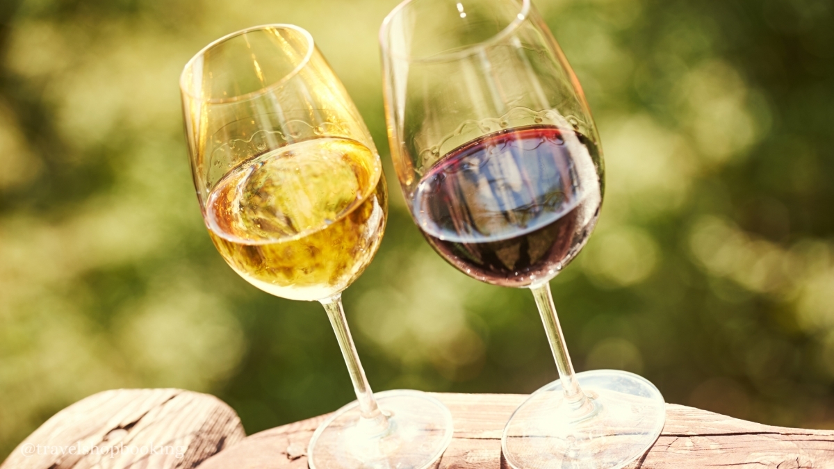 Kakheti Wine Tour from Tbilisi – Tsinandali Estate, Shumi Winery & Qvevri Wines 1