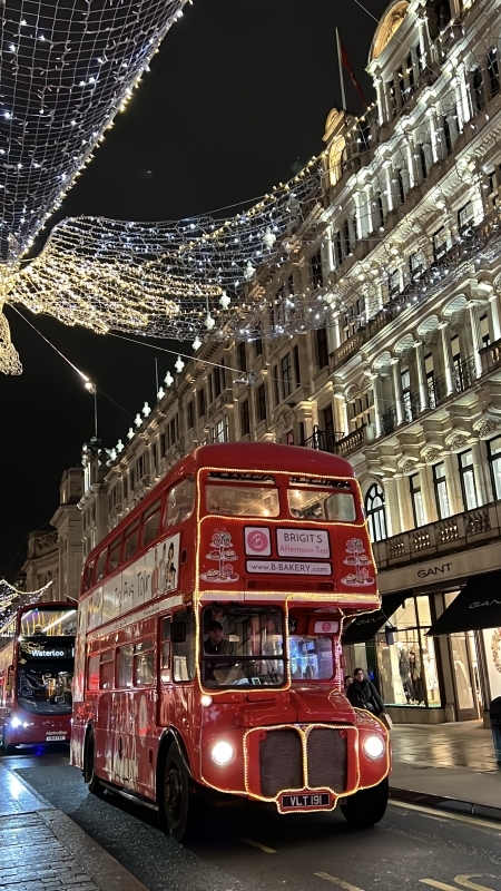 The Original Afternoon Tea London Sightseeing Bus Tour 3